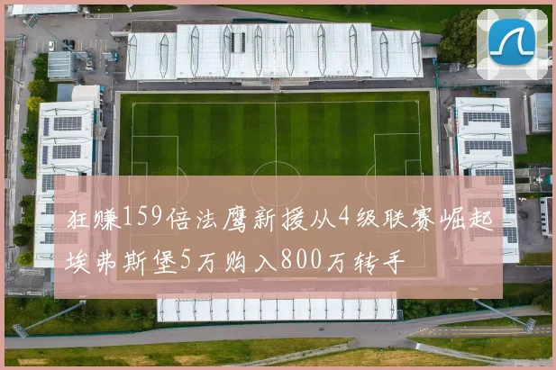 狂赚159倍法鹰新援从4级联赛崛起埃弗斯堡5万购入800万转手