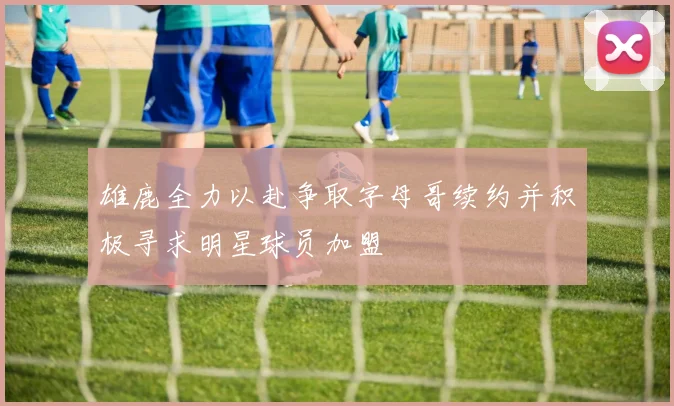 雄鹿全力以赴争取字母哥续约并积极寻求明星球员加盟