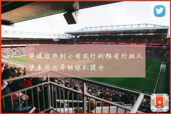 英媒称热刺小将武什科维奇外租汉堡表现优异助球队提升