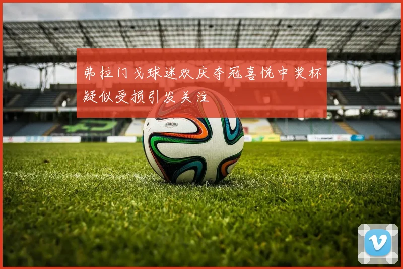 弗拉门戈球迷欢庆夺冠喜悦中奖杯疑似受损引发关注