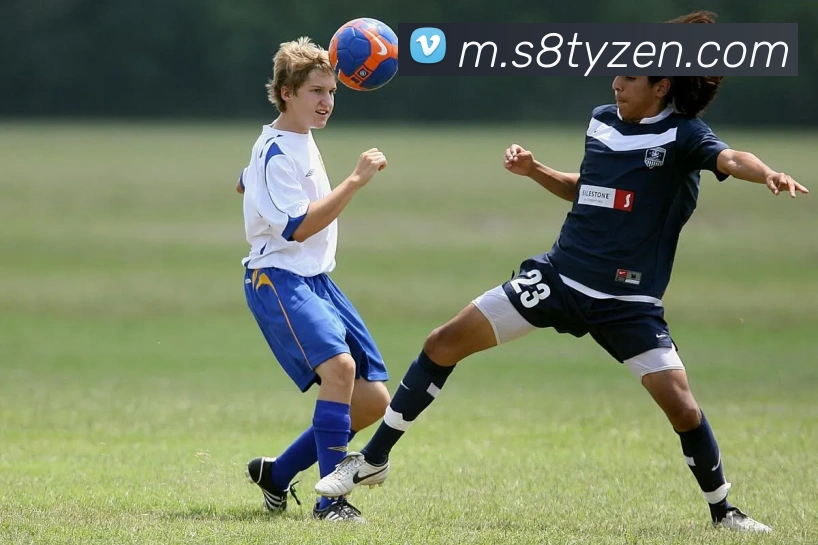 速8体育APP 封面图